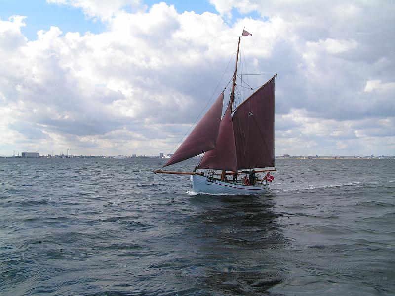 08 05 401.JPG